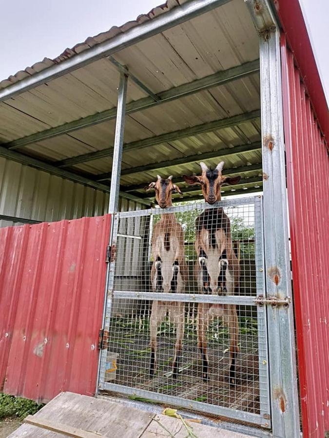 瑞穗乡依比鸭鸭水岸会馆住宿加早餐旅馆 外观 照片